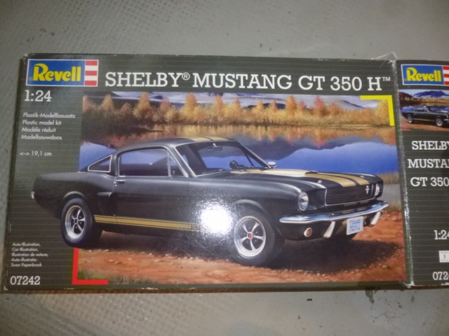 Mustang gt 350 P1090413