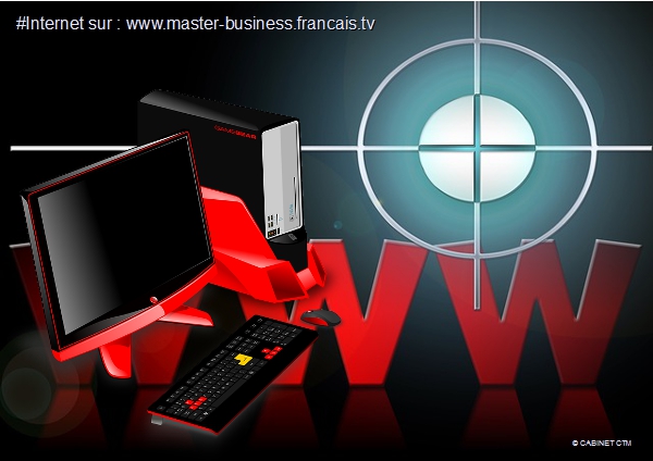 #TMCweb3 #MasterBusinessF : Ces "rançongiciels" qui prennent en otage des personnages de jeux vidéo 1_inte11