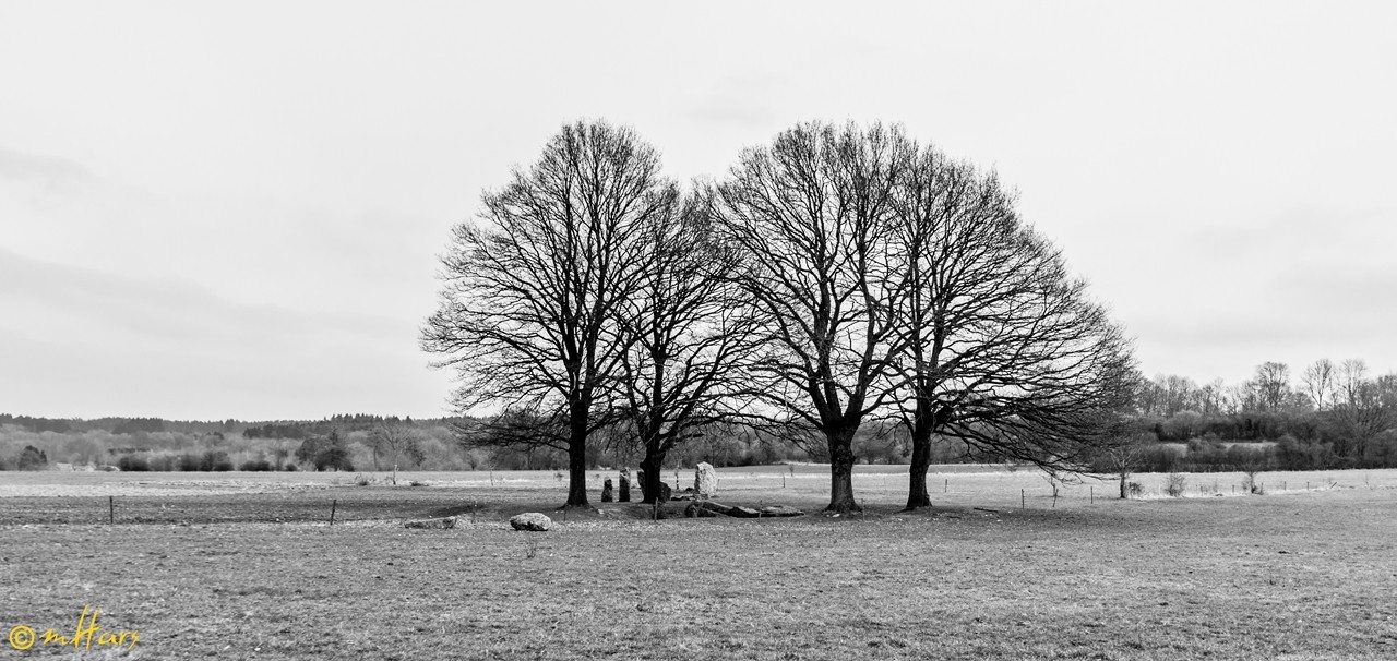 Sortie photo vieux village Wéris-Ny et Durbuy le samedi 14 mars : Les photos 2015_014