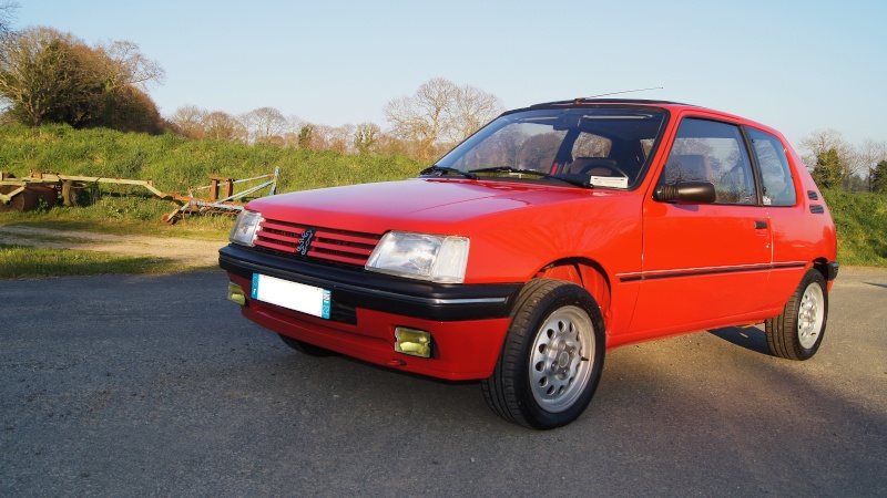 peugeot 205 de 1992 Dsc01611