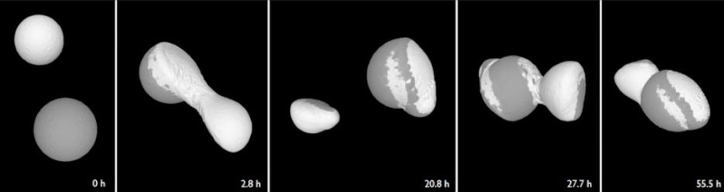 Rosetta : Mission autour de la comète 67P/Churyumov-Gerasimenko  - Page 22 Scree105