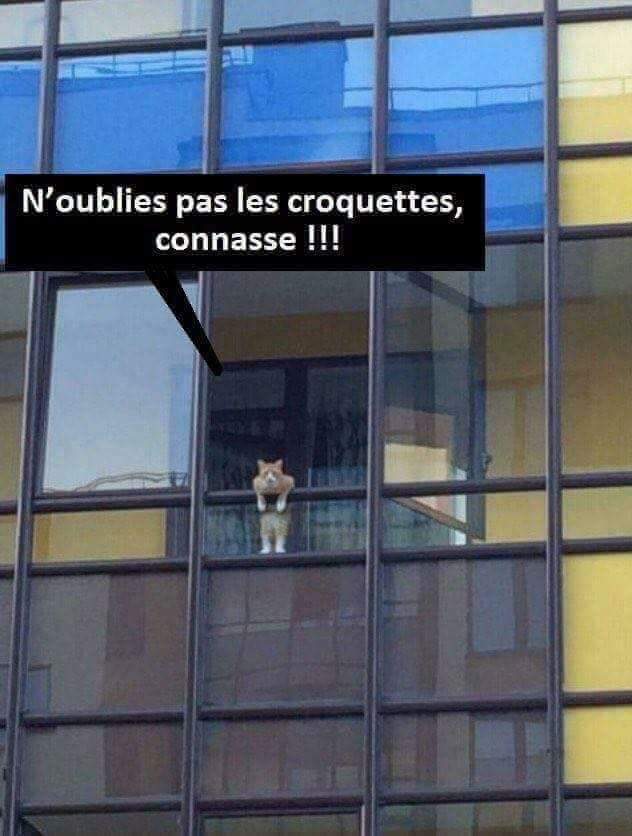 HUMOUR EN VRAC - Page 16 Fb_im124