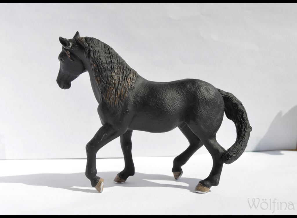 Walkaround of the 2012 Mojö Andalusian Stallions and comparison with Schleich Andalusian Dsc_0094