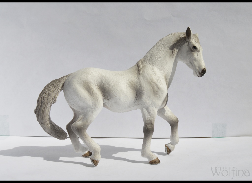 Walkaround of the 2012 Mojö Andalusian Stallions and comparison with Schleich Andalusian Dsc_0095