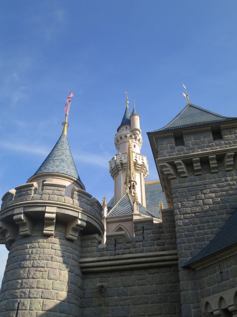 Trip report HKDL septembre 2014  C310