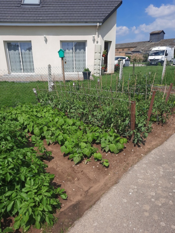 Le jardin c'est parti ! - Page 24 02410