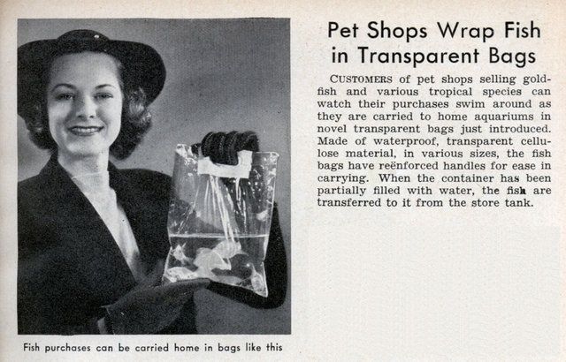 Fish Bag Ad from the 1960's 11259610