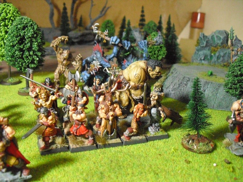 WFB: Mon armée d'Albion Cimg4912