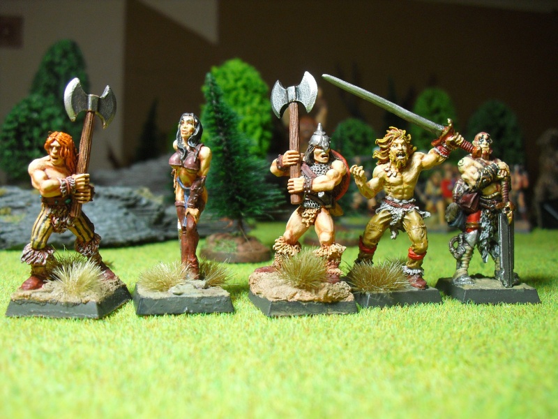 WFB: Mon armée d'Albion Cimg4919