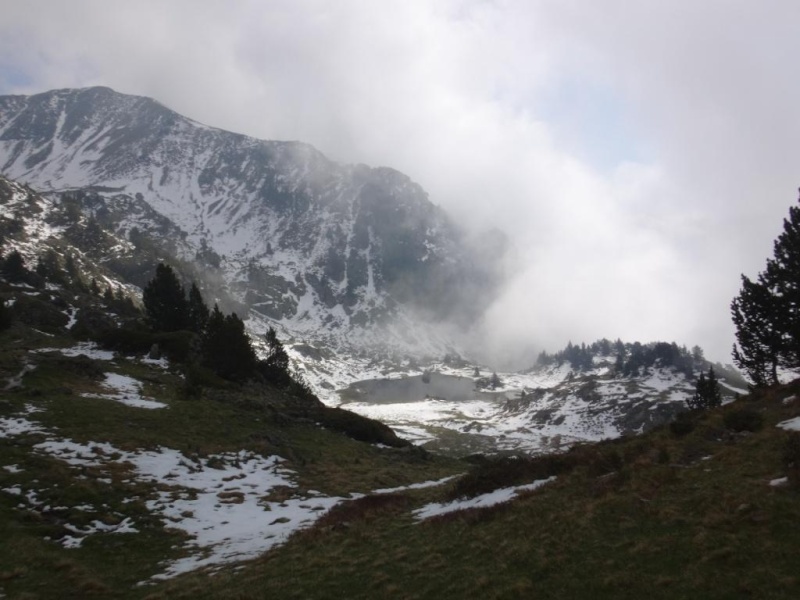 Belledonne ... A la rencontre des androsaces et les autres 0411