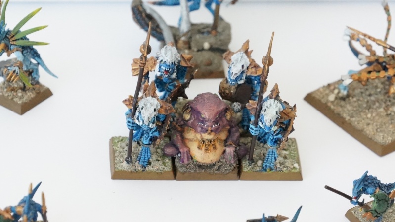 VENTE Lot Skinks, Saurus sur Sang-froids, prêtre mage Dsc00013