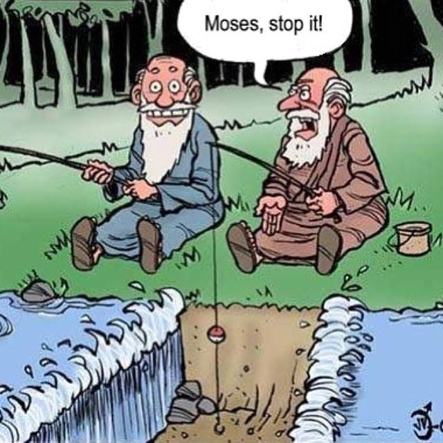 Photos or Videos that make you laugh or otherwise go WTF - Page 5 Moses10