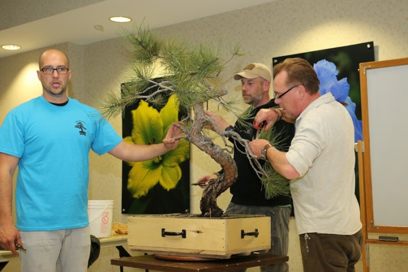 ROCK STAR BONSAI TOUR 2015 COMES TO BEER CITY USA Img_0010