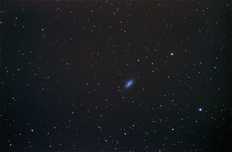 NGC 2903 Ngc_2910