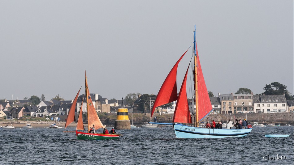 La semaine du Golfe 2015-Les photos Semg210