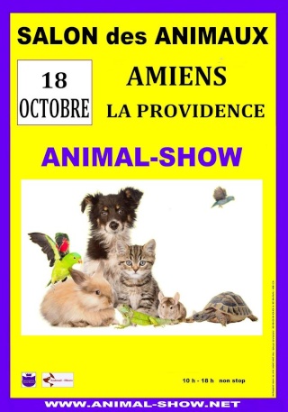 Animal show le 18 octobre 2015 Salon_10