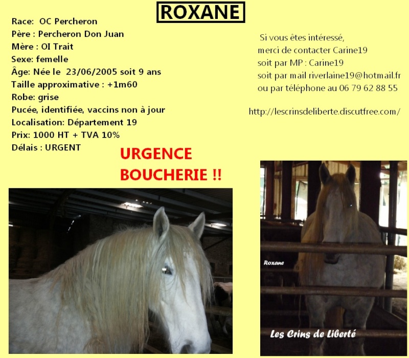 Dept19 ROXANE, OC Trait Percheron, en cours de replacement !!! (Avril 2015) Les_cr21