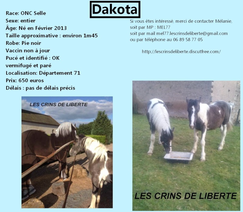 DAKOTA, ONC Pie et Vénus, ânesse, adoptés par Chantal-Dak (2014 et nov 2018) Les_cr48