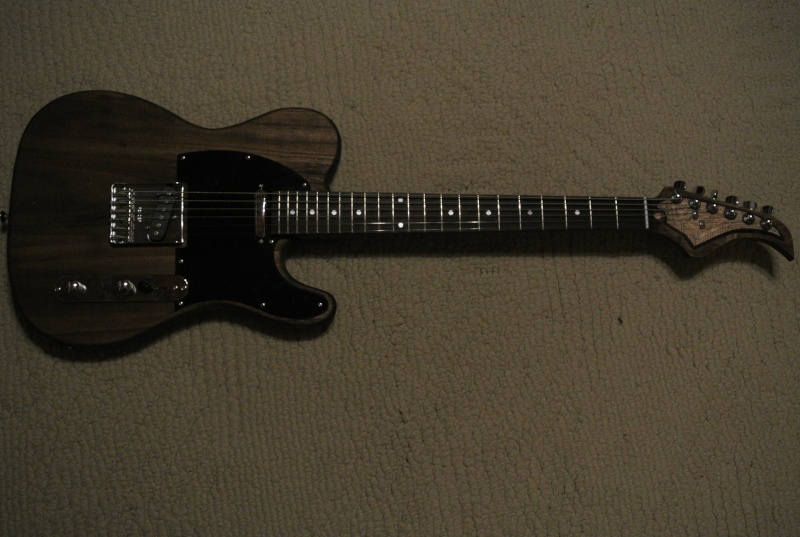 Custom Guitar Dsc_6911