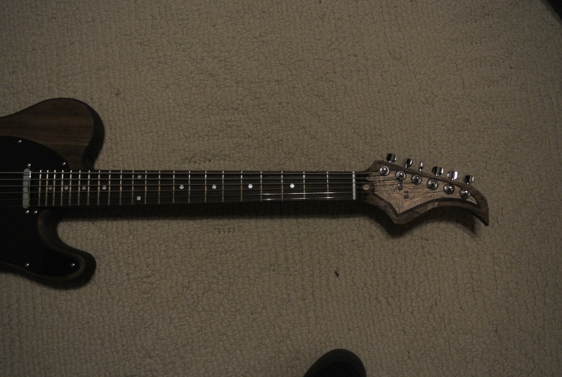 Custom Guitar Dsc_6913