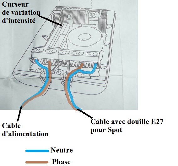 Question électricité. Branchement variateur lampe halogène.