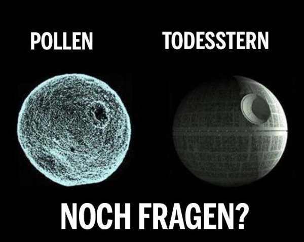 Lustiges zu StarWars - Seite 35 Pollen10