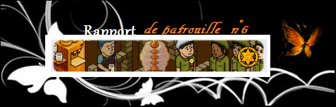 Rapports de Patrouilles [trunxy] - Page 3 Patoui10