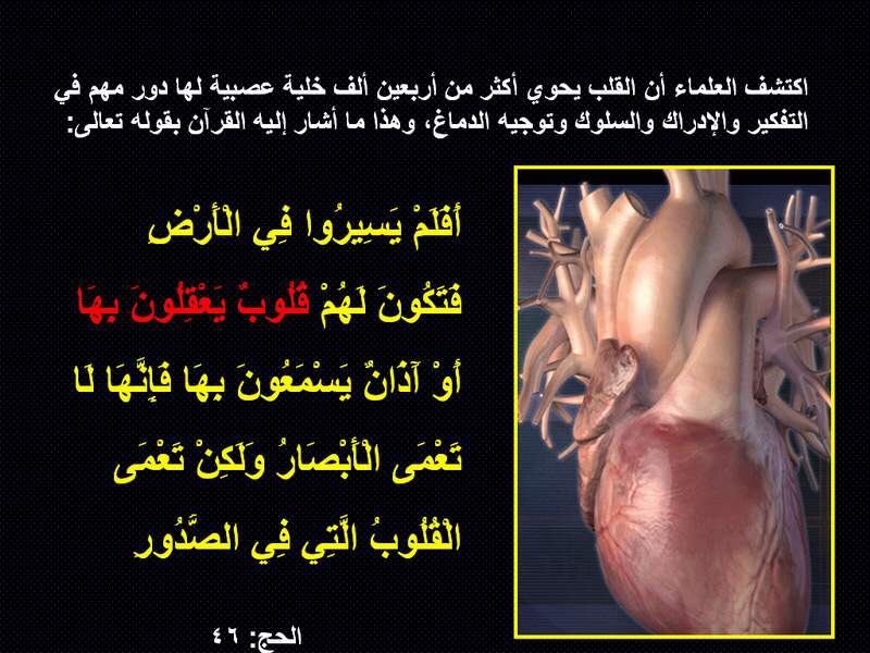 العلاقة بين القلب والسمع قد بينها القران الكريم Image30