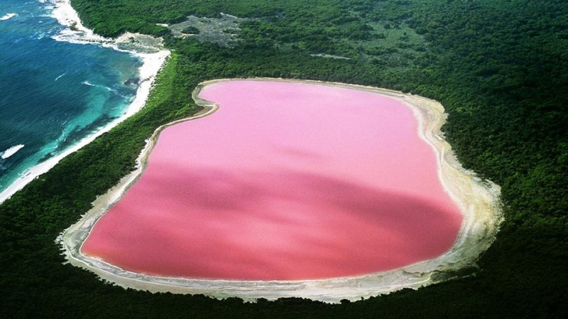 Il lago color di rosa 11130210