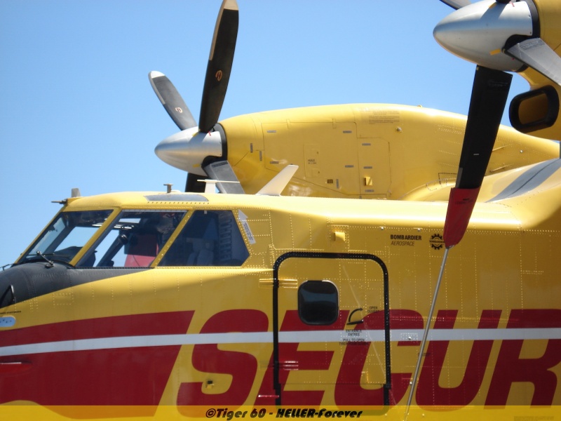 CANADAIR CL 415 en plein largage Réf 80370 - Page 2 Dsc00412