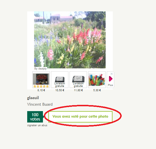 concours potager venez voter pour moi - Page 3 Captur17