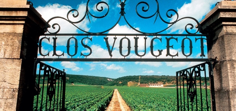 Le vin préféré de Louis XVI ? 07812