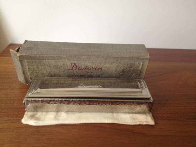 Dans la famille Darwin, la "fille", le Bijou Darwin12