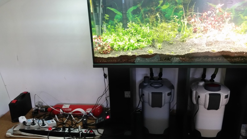 2 aquariums 240L : Spécifique Cacatuoides et Communautaire 20150436