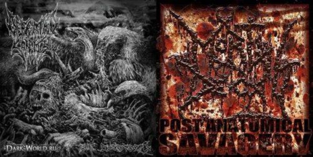 Defeated Sanity & Mortal Decay (Limited Edition/Split 2015) 22192411
