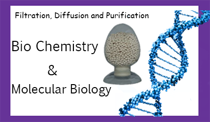 Molecular Biology and Bio Chemistry Molecu11