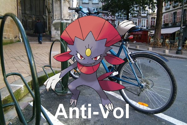 Les perles des Poké-chats Anti-v10