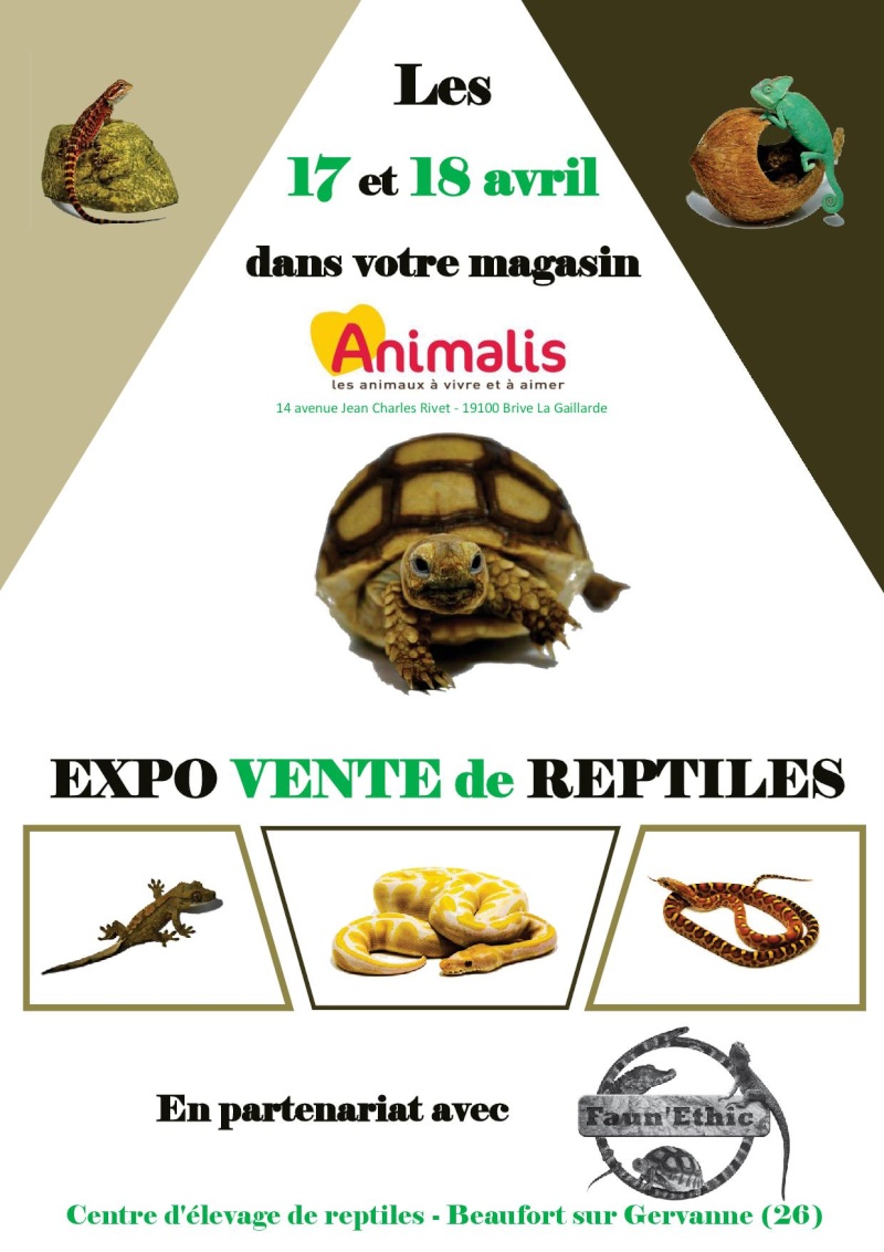 17 et 18 avril 2015 - EXPO VENTE de Reptiles à l'Animalis de Brive (19) Affich11