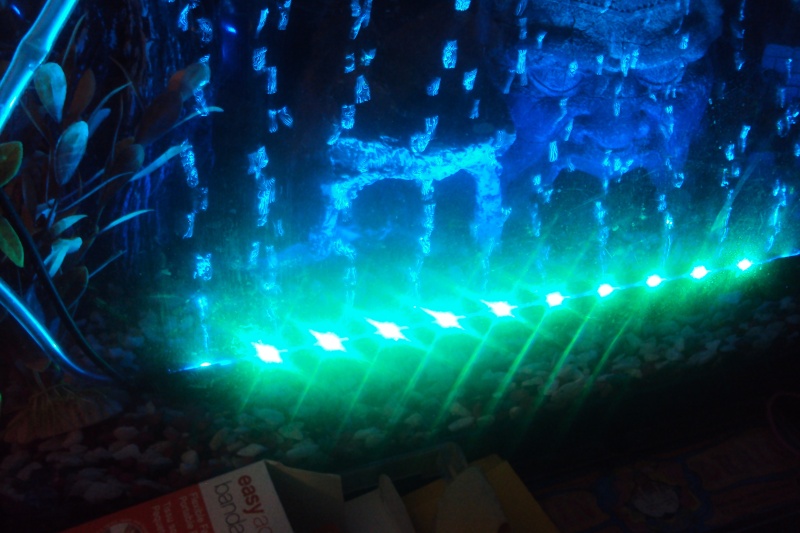 Anyone used underwater led lights? Dsc02210