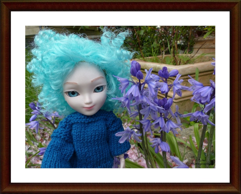 Penelope Bluebell May7th10