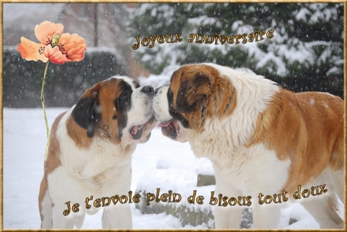 Joyeux anniversaire Asia et Angunn - Page 2 Anniv-10