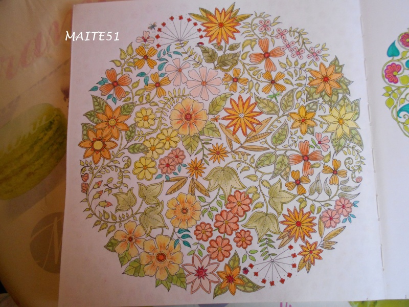 Les Gribouillages de Maite51 ! - Page 3 Jardin12