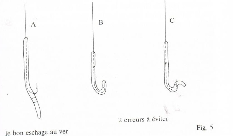 Pêche au toc, problèmes de débutant 00210