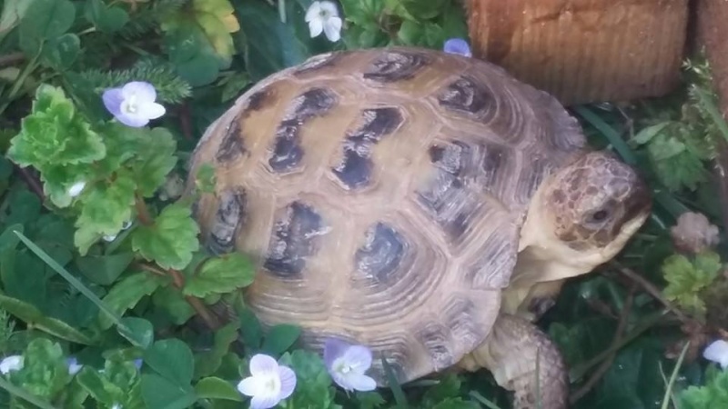 1er bain de soleil pour ma petite pénéloppe 11038910