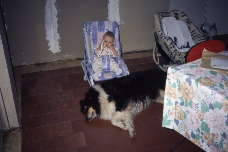 Mes Petits Amours Img14710