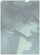 Pas de nouveaux messages Pas de nouveaux messages