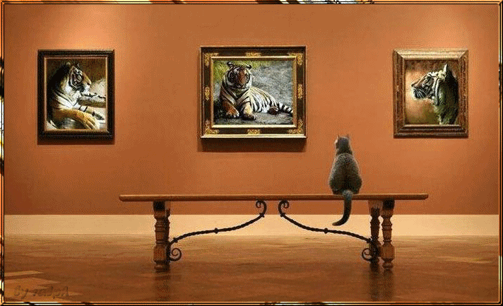 GALERIE DE PORTRAITS : LES CHATS DE L'ELYSÉE 1176e611