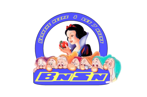 Grand Concours Logo BnSn Logo_b10