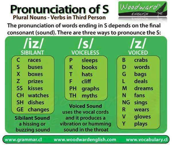 Pronunciation of " s " 11125210