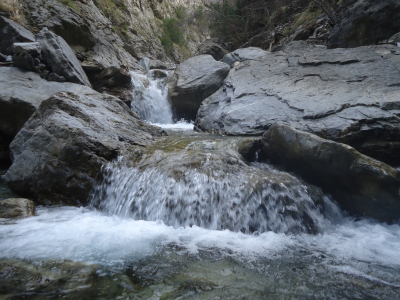 ruisseau - Un ruisseau magnifique Dsc04311